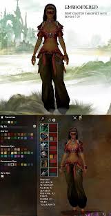 Light Embroidered Armor Renaissance Festival Costumes Guild Wars Embroidered
