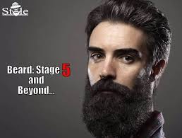 At any given time, a random number of hairs will be in one of three stages of growth and shedding. 5 Stages Of Beard Growth Cycle With Week By Week Image