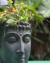 Shala Luna (@shala_luna) · Instagram 照片和视频