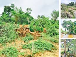 Image result for Crudia