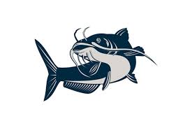 The best selection of royalty free catfish vector art, graphics and stock illustrations. Catfish Jumping 5238 Illustrations Design Bundles