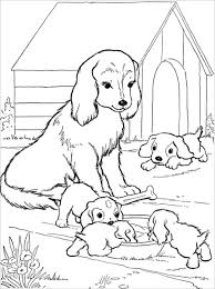 Coloring pages baby animals coloring sheets baby farm animals. Toronto Nihgtife