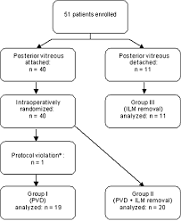 Participant Flow Chart For Each Treatment Group Pvd