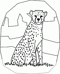 You can print or color them online at getdrawings.com for absolutely free. Cheetah Coloring Pictures Coloring Home
