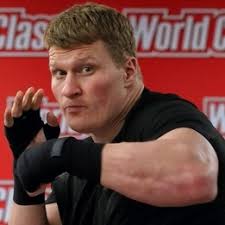 Alexander Povetkin vs. Christian Hammer, Povetkin vs. Hammer
