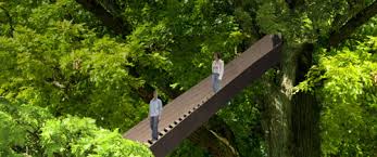 Boga) is a botanical garden located in bern, the capital city of switzerland. Bern Ein Etwas Anderer Zugang Zu Baumen