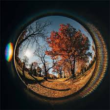 Image result for fisheye
