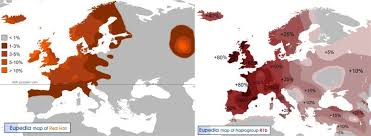 Red Hair Genes Directly Inherited From The World S First Redheads 70 000 Years Ago Abroad In The Yard Red Hair Gene Red Hair Celtic Ancestry