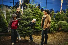 The red buffalo check and faux shearling make this a cozy addition to any mantle. Christmas Tree Care How To Choose Care For Recycle Your Tree