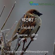 One could write in sanskrit. Birds In Sanskrit Learn Sanskrit Open Pathshala