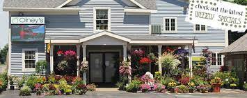 Maybe you would like to learn more about one of these? Olney S Flowers The Getaway Region Oneida County New York