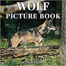 Base and support in painted steel or with galvanic surface treatment. Wolf Picture Book 100 Beuatiful Images Of Wolves In The Wild Perfect Gift Or Coffee Table Decor Kampelstone 9798556210837 Amazon Com Books