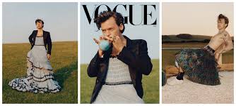 The singer covers the upcoming issue of vogue, and wears a variety of different ensembles that ignore the usual gender stereotyping of clothing. Harry Styles Rocks A Dress For Vogue S December Issue That Grape Juice
