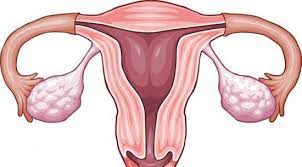 Sejak di bangku sd kita sudah harus mempunyai tanda tangan sendiri. 13 Tanda Tanda Rahim Bersih Setelah Keguguran Bidanku Com