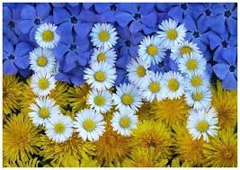 Ночью террористы обстреливали блокпосты силовиков и Донецкий аэропорт, - Тымчук - Цензор.НЕТ 5707