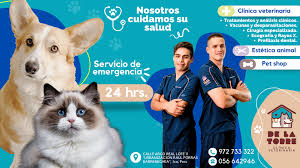 Clinica Veterinaria De La Torre