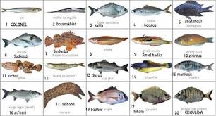 Poisson Mediterranee Poisson Mediterranee Poisson Mer