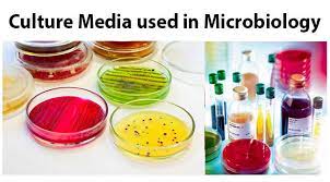 What is the branches of the microbiology? List Of Culture Media Used In Microbiology With Their Uses Microbiology Info Com