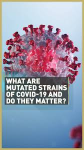 Researchers found that a young woman infected with one strain of the coronavirus was, just weeks after recovering. What Are Mutated Strains Of Covid 19 And Are They Important Cgtn