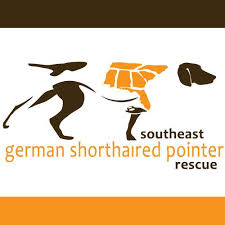 The process includes an application review, veterinarian check, and home visit. Southeast Gsp Rescue Home Facebook