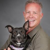 Great-Value New Reno Home Builders