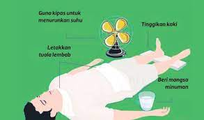 Kandang kelinci harus berukuran minimal 5 kali ukuran kelinci. Tangani Strok Haba