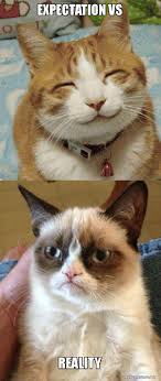 Jun 13, 2021 · any hash algorithm for which a single collision has ever been generated would be an inappropriate choice for a urn system. Expectation Vs Reality Grumpy Cat Vs Happy Cat Make A Meme