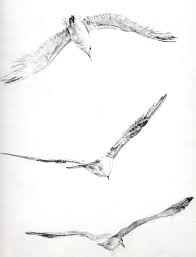 Jonathan Livingston Seagull By Francyfra Jonathan Livingston Seagull Seagull Tattoo Livingston