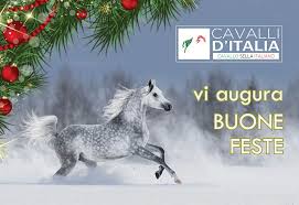 Auguri Di Buone Feste Cavalli D Italia