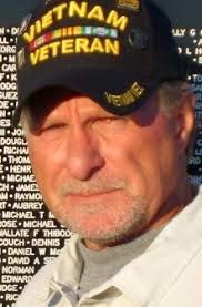 Memoirs From Nam: Coming Home: by Michael Lansford