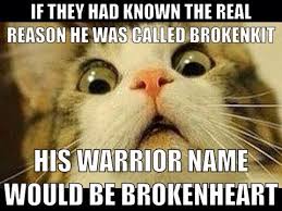 I Made This Cause One Night I Realized That It Would Be This And I Made This Exact Face But I Used A Ca Warrior Cat Memes Warrior Cats Funny Warrior