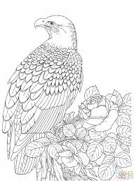 Color match c_ffffff c_f0f0f0 c_d8d8d8 c_c0c0c0 c_a8a8a8 c_f0f0ff c_909090. Bald Eagle Coloring Page Coloring Home