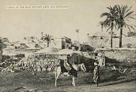 صور نادرة لمدينة اللد art history painting