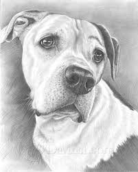 Includes unlimited revisions and adjustments until you are 100% satisfied with the end result. Hand Drawn Pencil Portraits From Photos Pencil Portrait Drawing Pencil Sketch Artists