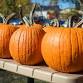 Pumpkin Carving Extravaganza