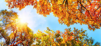 Résultat de recherche d'images pour "soleil d'automne"