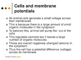 Maybe you would like to learn more about one of these? Ppt The Nerve Impulse Powerpoint Presentation Free Download Id 250265