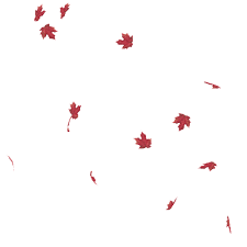 Here you can explore hq animated falling leaves transparent illustrations, icons and clipart with filter setting like size, type, color etc. Transparent Leaves Gif Page 1 Line 17qq Com