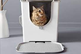 The Best Litter Boxes For Cat Owners In 2021 Bob Vila
