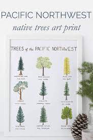 We specialize in tree removal. Pin On Art