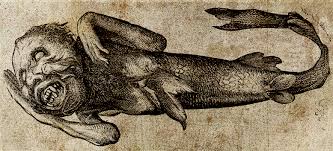 Image result for real mermaid