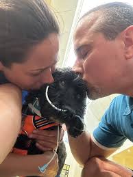 Can anyone recommend any good pet sitters. I'm going to be heading to  France possibly in May for a week or two and I have a border collie, a cat,  a tortoise