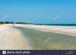 Florida Sanibel Island Bowmans Beach Sea Shell