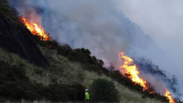 Hot, dry summers bring new 'firewave' risk to UK cities