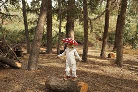 If you want the hat look more special, add some paper and cloth to it. Diy No Sew Mushroom Toadstool Costume Woodlark Blog Woodlark Blog