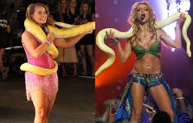 Image result for britney spears python