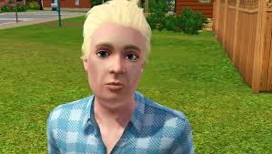 The Real Sunset Valley: TRSVS01E09: Alvi