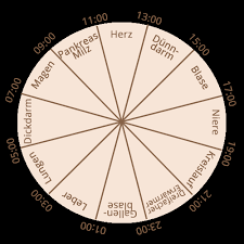 Ilse berger, expertin für tcm, ernährung und bioresonanz, erklärt: Organuhr Engelbibliothek Esoterisches Nachschlagewerk