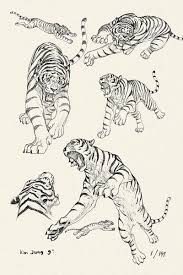 Kim Jung Gi Superani New Prints Tiger Art Tiger Illustration Tiger Drawing