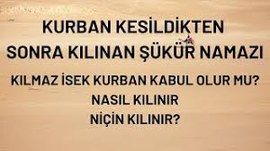 Maybe you would like to learn more about one of these? Kurban Kesildikten Sonra Kilinan Namaz Mp4 3gp Flv Mp3 Video Indir